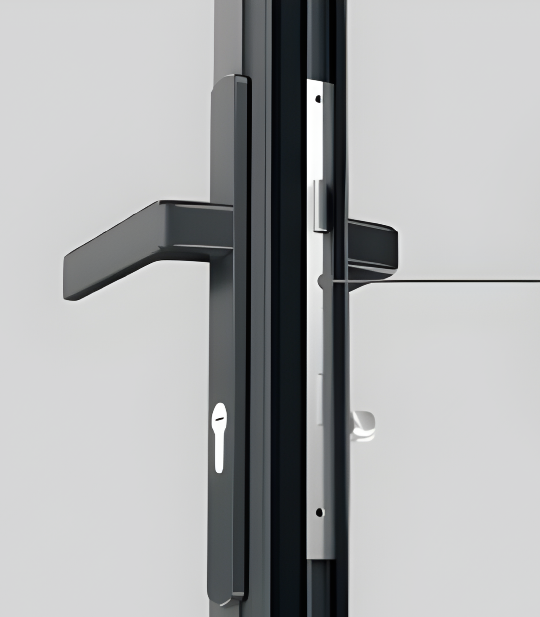 VLX 100 Swing / Entry Door in Austin, TX | Westlight Windows Austin - detail 5